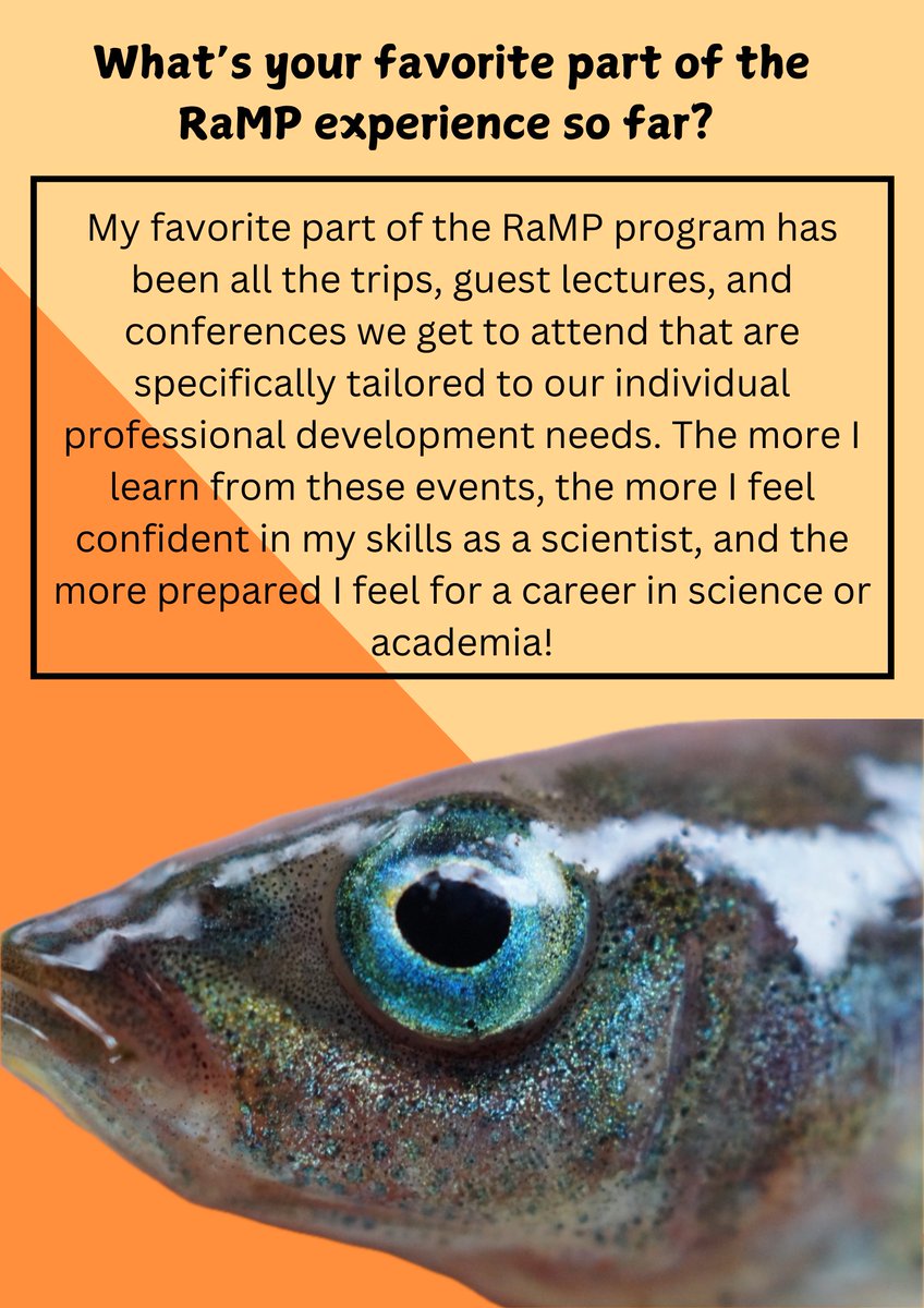 RaMP @ UConn tweet media