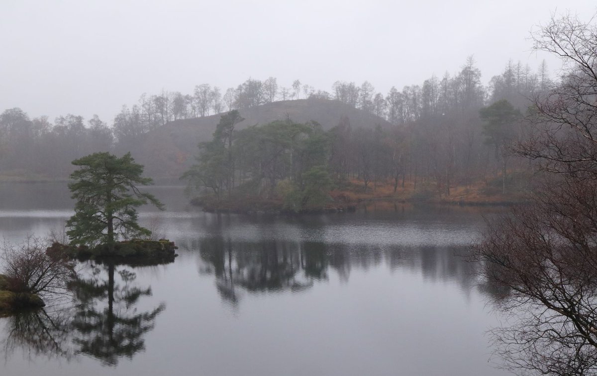 #LakeDistrictDiary day 4 part 1
A round of Tarn Hows
"Atmospheric" conditions, but we didn't get too wet - still managed a picnic lunch and the colours were muted and lovely, just in a different way 😊
<a href="/keswickbootco/">Keswick boot co</a>