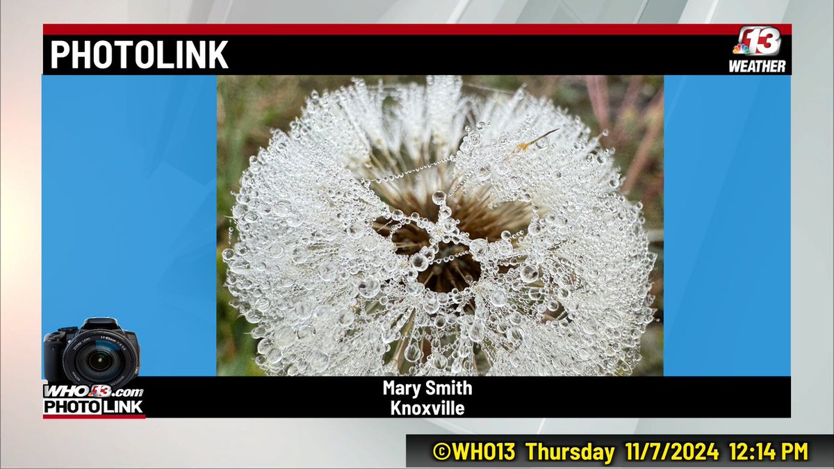 JeriannWX's tweet image. Moisture in the air this morning.