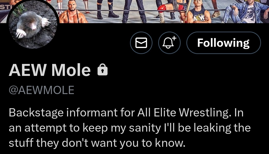 So much for leaking things they don't want you to know.  All these matches have been officially announced.