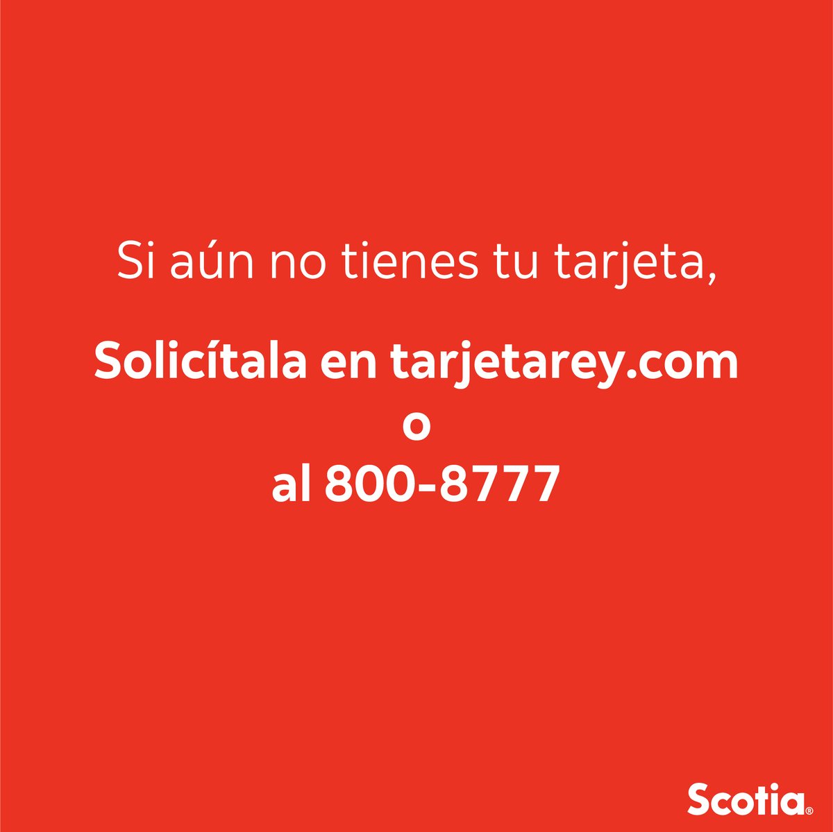 ¡Llegó la promo que esperabas! Aprovecha 50% de descuento en productos seleccionados en Supermercados Rey y Romero los días jueves al pagar con tu tarjeta Visa Rey Scotiabank. 💳

Promoción válida los días jueves del 7 al 28 de noviembre.