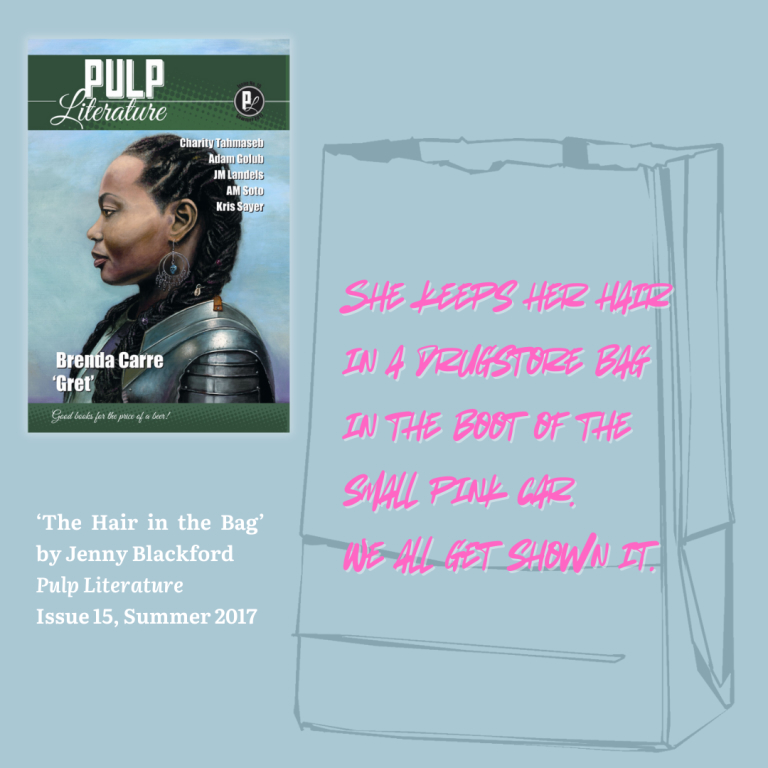 ‘The Hair in the Bag’ by Jenny Blackford is strange, unsettling, and moving.  Find it in Pulp Literature Issue 15, Summer 2017, on sale for $8 until the end of November.

pulpliterature.com/throwback-thur…

#tbt #throwbackthursday #kingfisher #shortpoem #poetrycontest