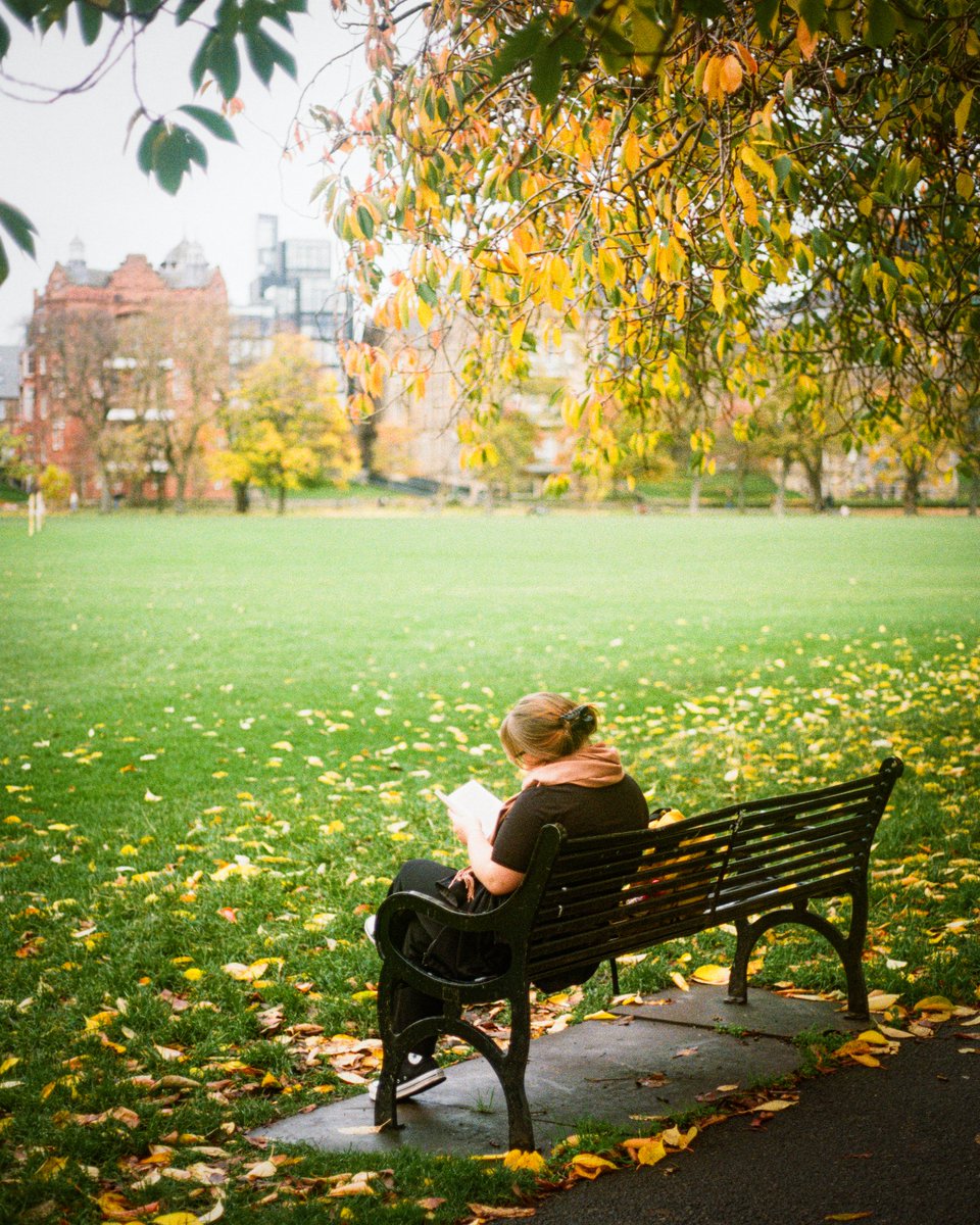 TrueNorthCaptures tweet media