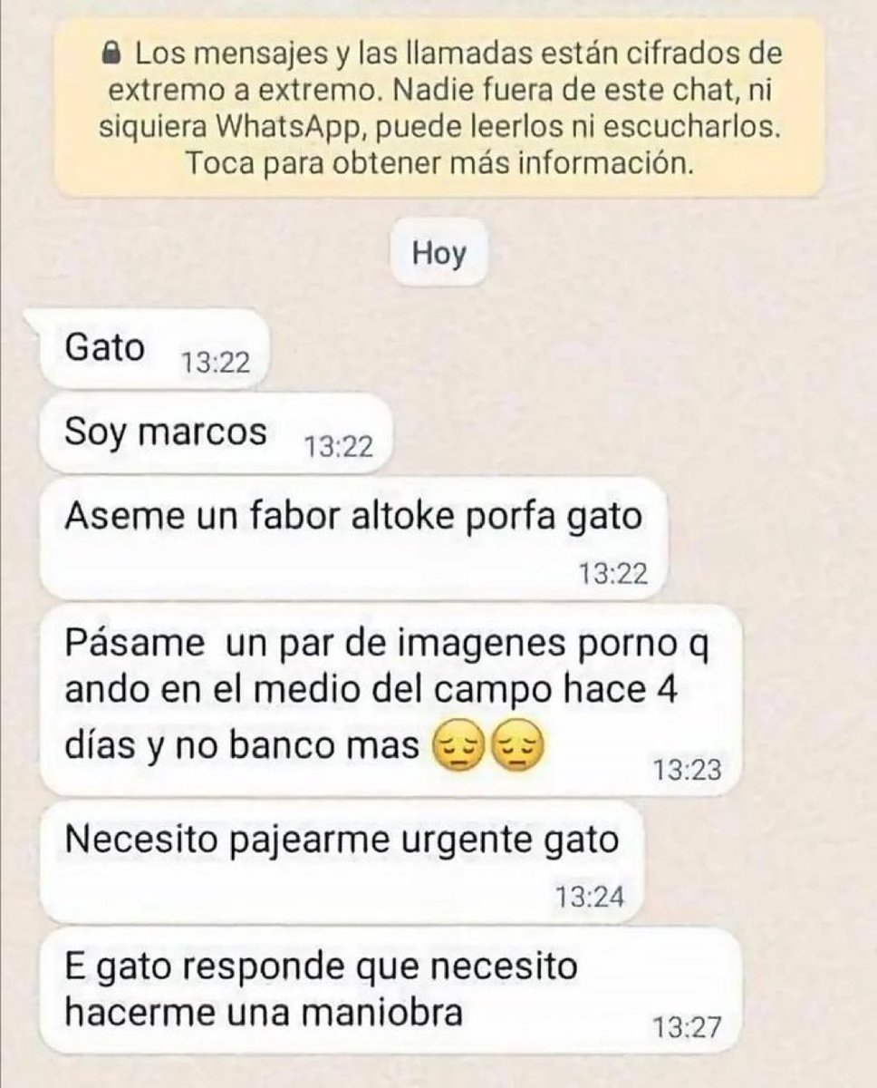 young mirko 🚫🧢 tweet media