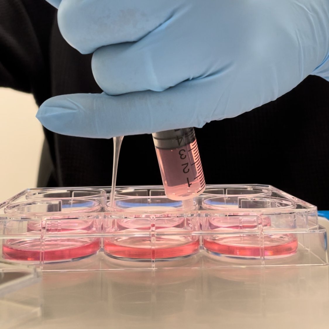Nikolay Kukushkin (@niko_kukushkin) on Twitter photo We think that all memory is stored in the brain. But our study published today in <a href="/NatureComms/">Nature Communications</a> shows that all cells—even kidney cells—can count, detect patterns, store memories, and do so similarly to brain cells. My first (co)corresponding author paper!🧵nature.com/articles/s4146… We think that all memory is stored in the brain. But our study published today in <a href="/NatureComms/">Nature Communications</a> shows that all cells—even kidney cells—can count, detect patterns, store memories, and do so similarly to brain cells. My first (co)corresponding author paper!🧵nature.com/articles/s4146…