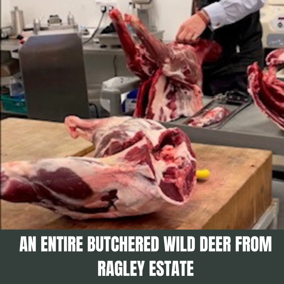 Back British Game tweet media