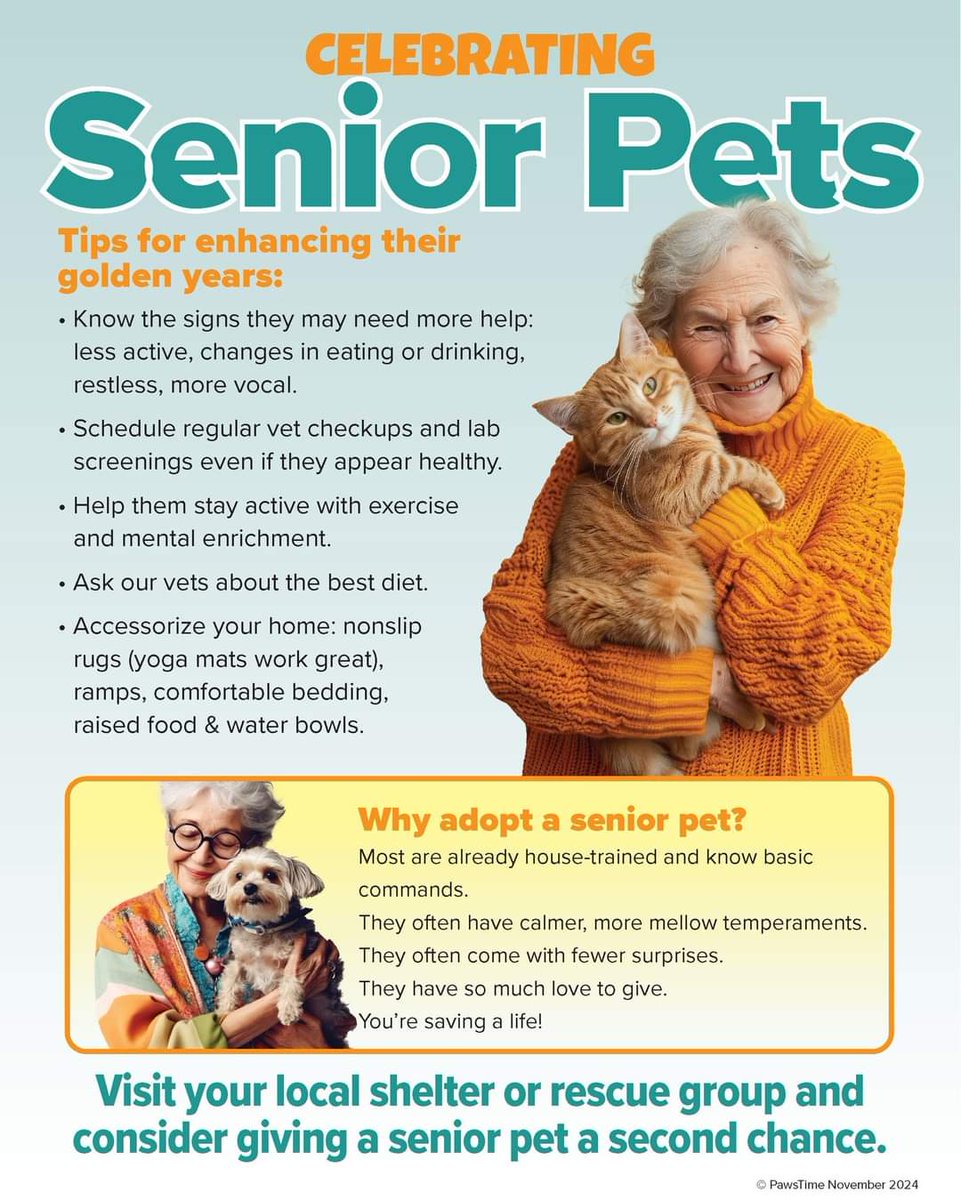 November is National Senior Pet Month and Adopt a Senior Pet Month, a time to celebrate the love and joy that our faithful companions bring to our lives 🐾