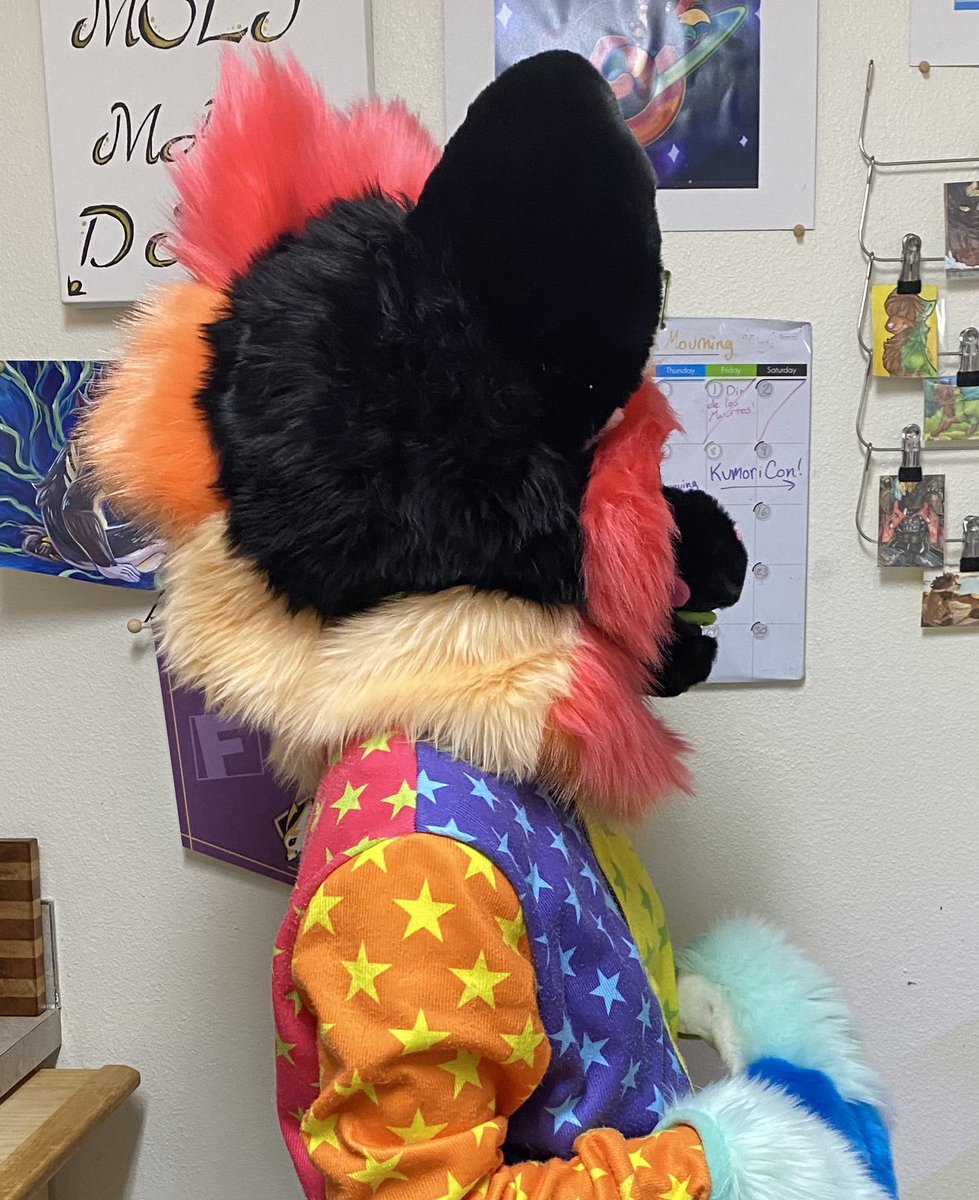 Kabber Creations - fursuit maker (@kabbercreations) on Twitter photo Trippy yeen premade that will be available at <a href="/kumoricon/">Kumoricon ☁</a> this weekend!
Design by kipshio Trippy yeen premade that will be available at <a href="/kumoricon/">Kumoricon ☁</a> this weekend!
Design by kipshio