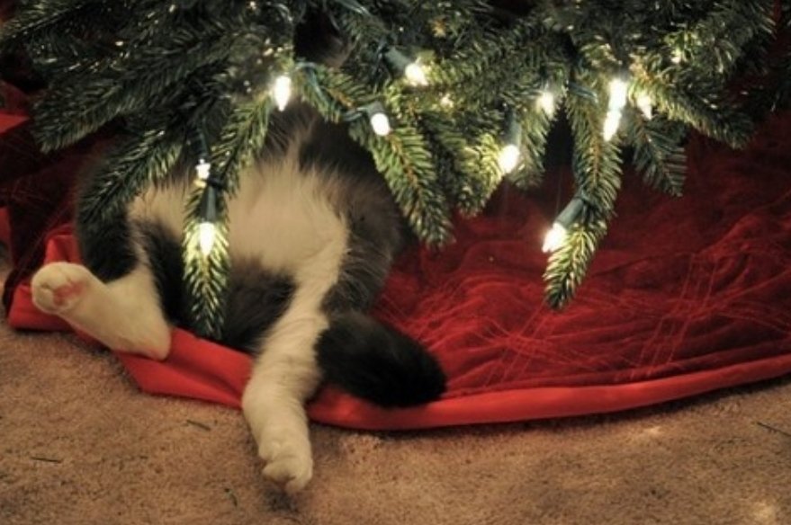 - J’ai compris le problème : ils ont mis un socle anti-basculement... va me chercher la scie à bois !