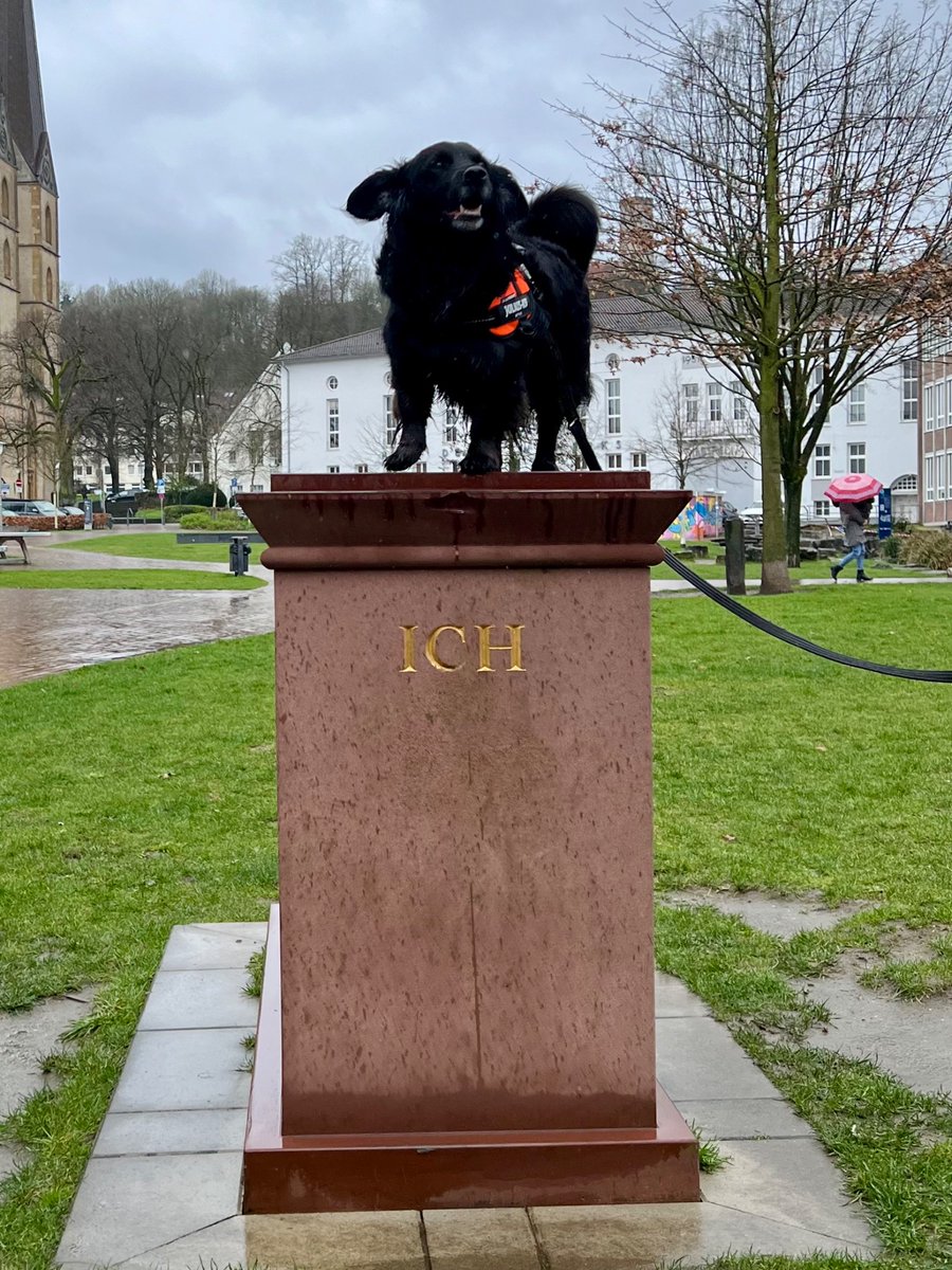 Горжусь малышом 🥹 Держите фотку из предвыборной кампании ✨