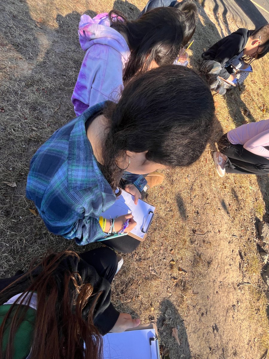 SilvermineDLMS's tweet photo. Art teacher Mrs. Hungaski sketches a beautiful tree on this gorgeous fall day with homeroom 14 https://t.co/uK1o8TtK6g