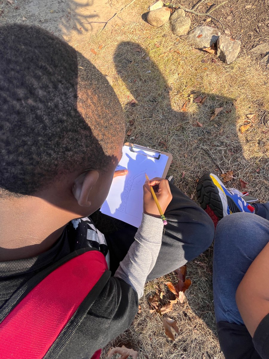 SilvermineDLMS's tweet photo. Art teacher Mrs. Hungaski sketches a beautiful tree on this gorgeous fall day with homeroom 14 https://t.co/uK1o8TtK6g