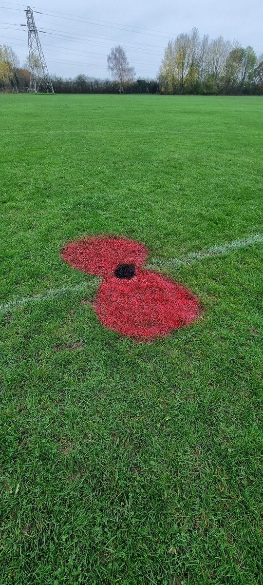 FieldLaneFC's tweet photo. Our pitches are resplendent with poppy centre spots, ready for this Sunday's remembrance fixtures. #WeWillRememberThem 💙💛⚽️ https://t.co/Zm0hsu8MrC