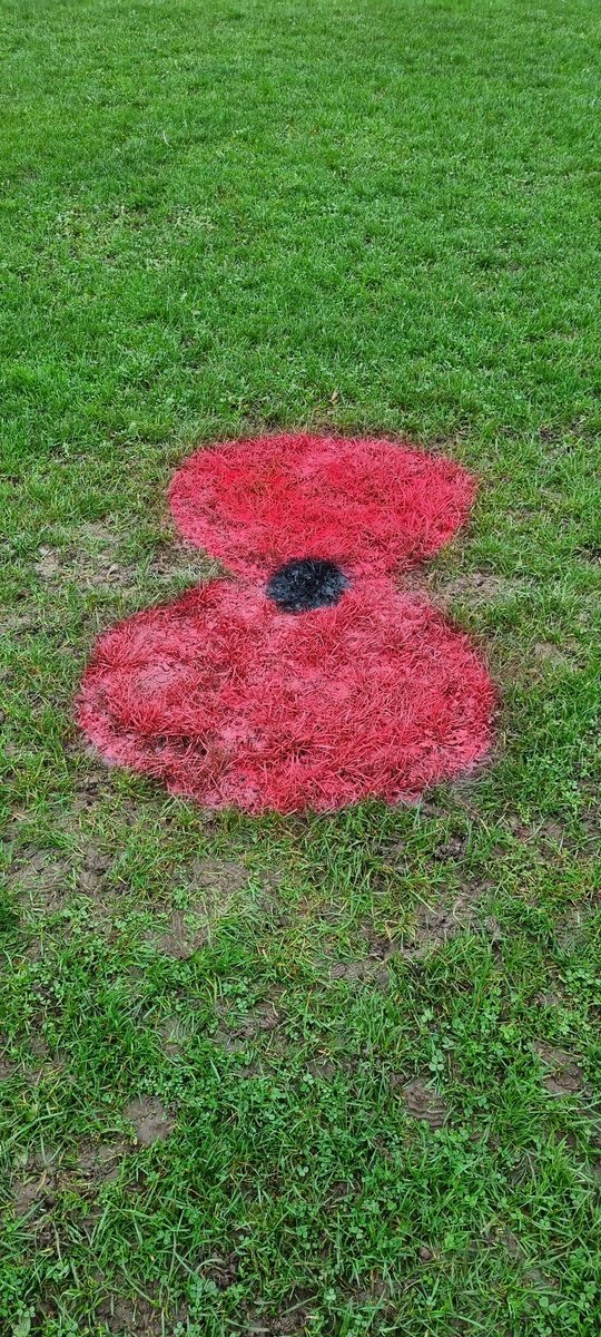 Our pitches are resplendent with poppy centre spots, ready for this Sunday's remembrance fixtures. #WeWillRememberThem 💙💛⚽️