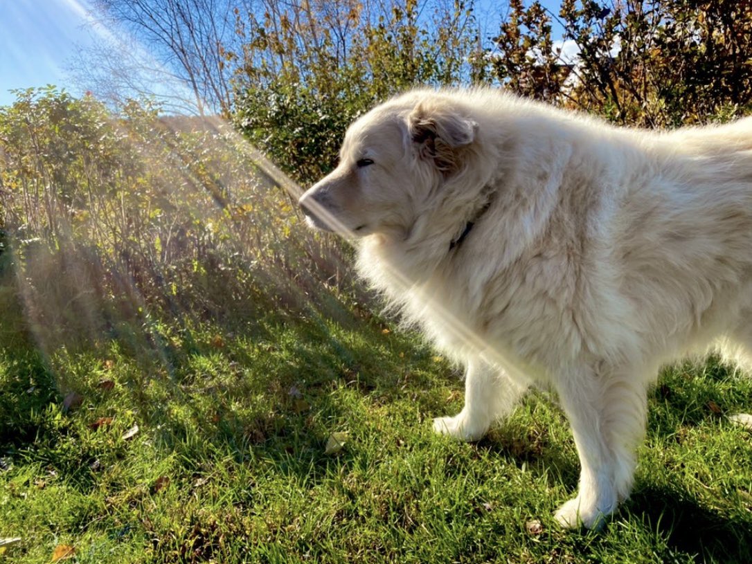 Bryan Marquard tweet media