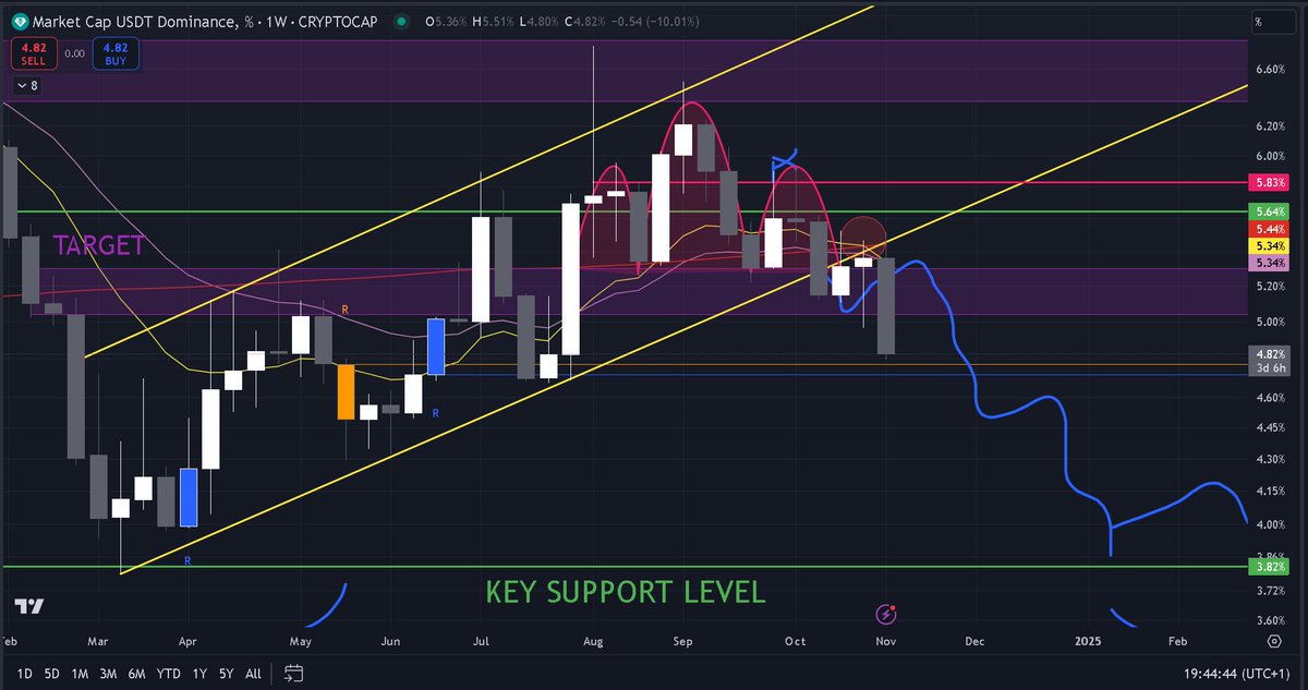 Trading Paradise tweet media