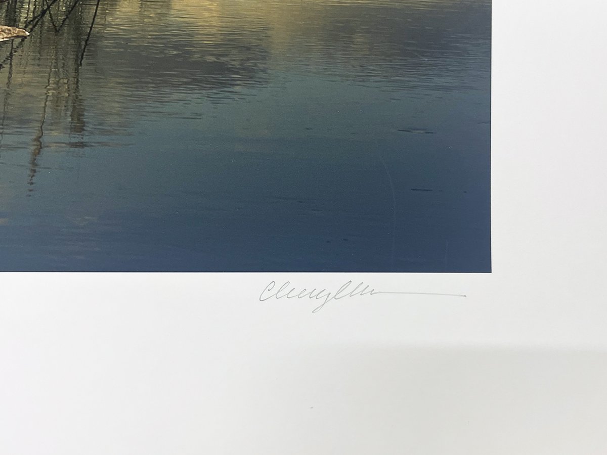 PDNB Gallery tweet media