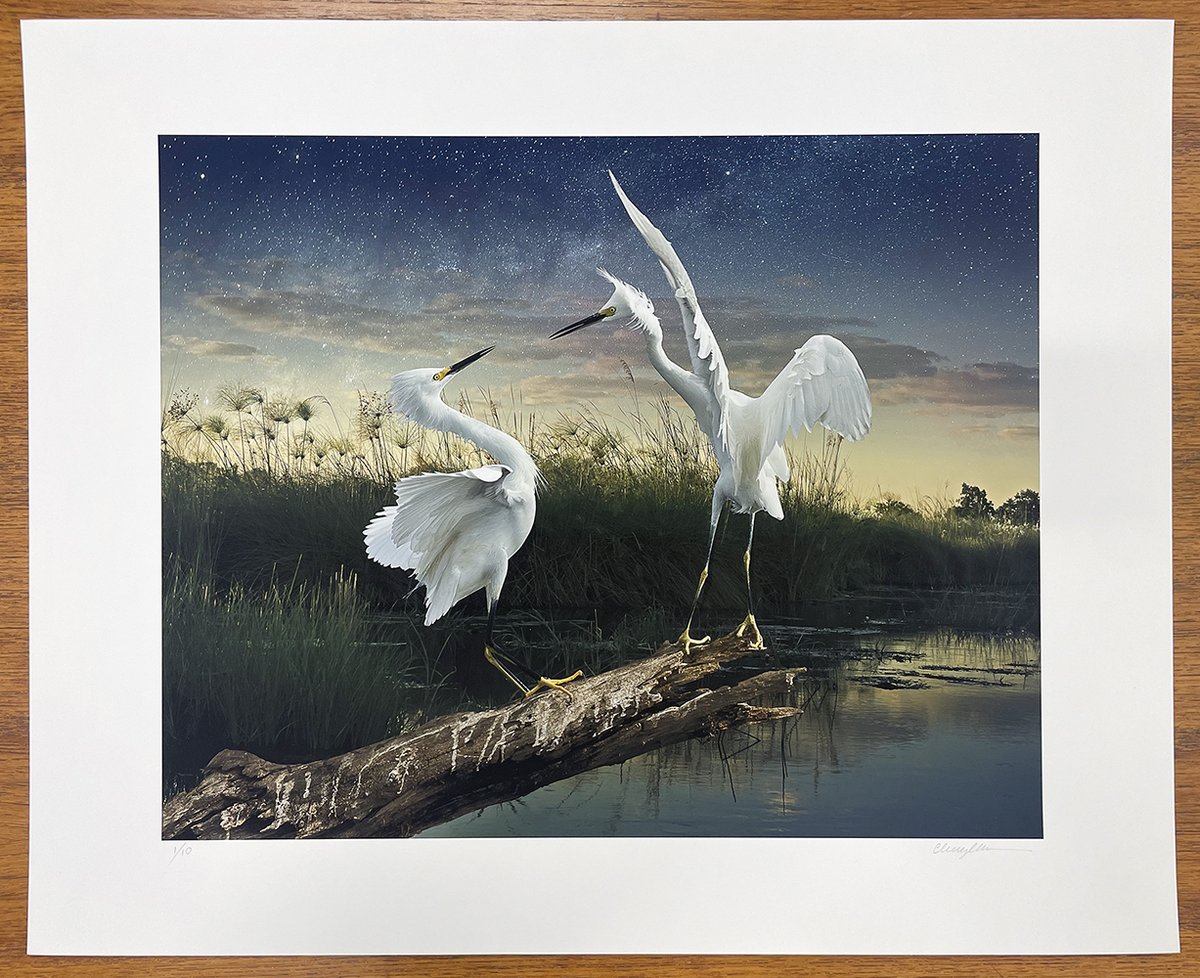 PDNB Gallery tweet media