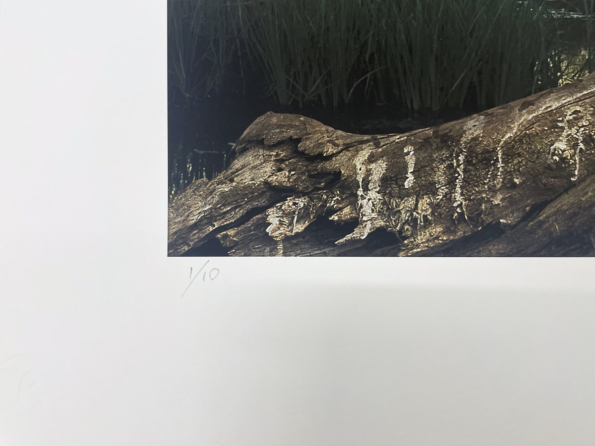 PDNB Gallery tweet media