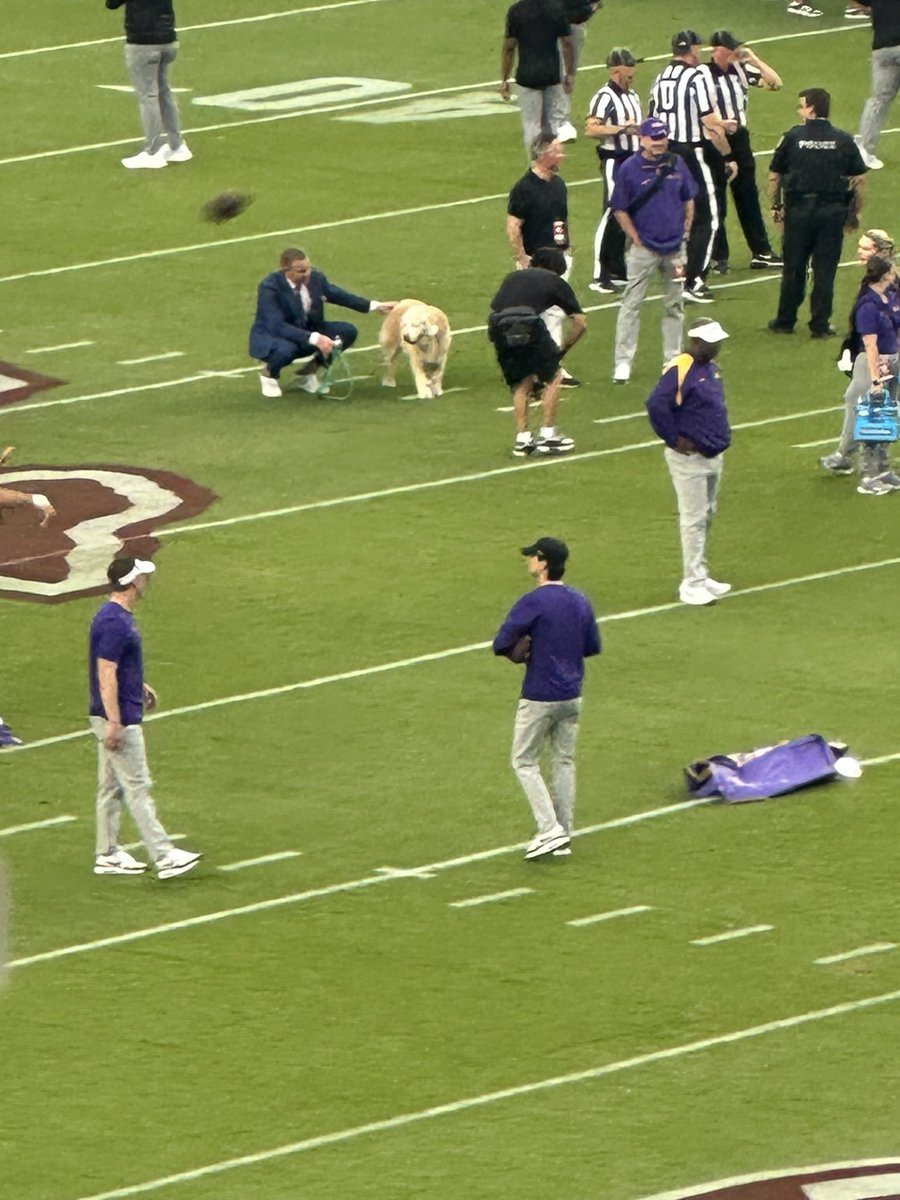 JLLadner's tweet photo. @KirkHerbstreit I hate to hear of your loss, Kirk. Ben seemed like such a great dog and a blessing to your life. My wife @CoachLadner13 and I felt blessed to see Ben on the field for the LSU/A&amp;M game at Kyle Field a couple weeks ago. RIP Ben! https://t.co/UKleBBZ4jb