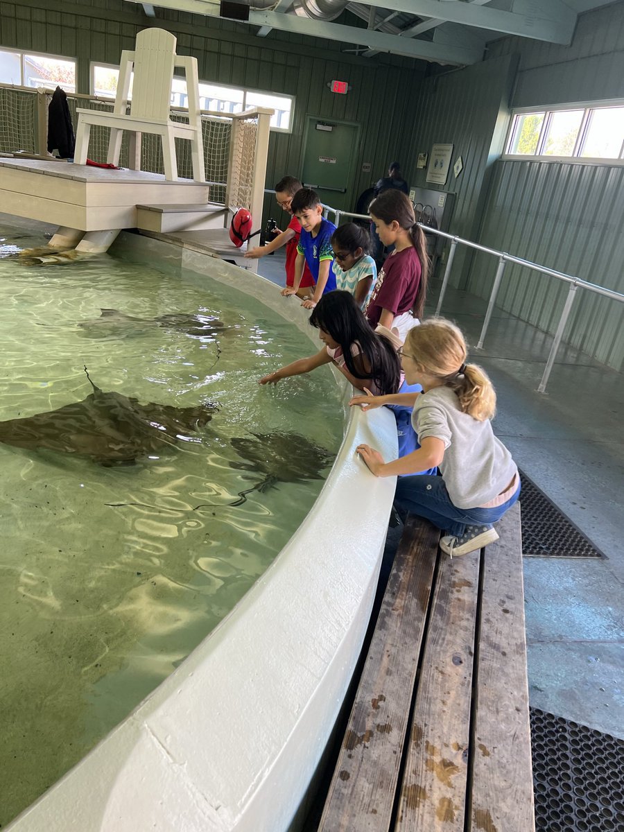 Slate Hill 3rd Grade Team tweet media