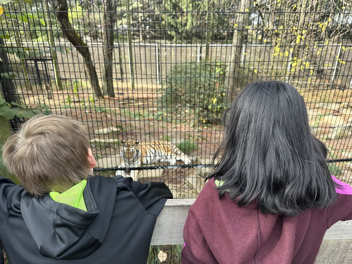 Our third graders were leaders, thinkers, and friends today <a href="/ColumbusZoo/">Columbus Zoo</a>! The students loved observing and discussing the animals we learned about!  <a href="/Amplify/">Amplify</a> <a href="/SlateHillStars/">Julie Gulley</a> <a href="/wcsdistrict/">Worthington Schools</a> #ItsWorthIt #CKLA