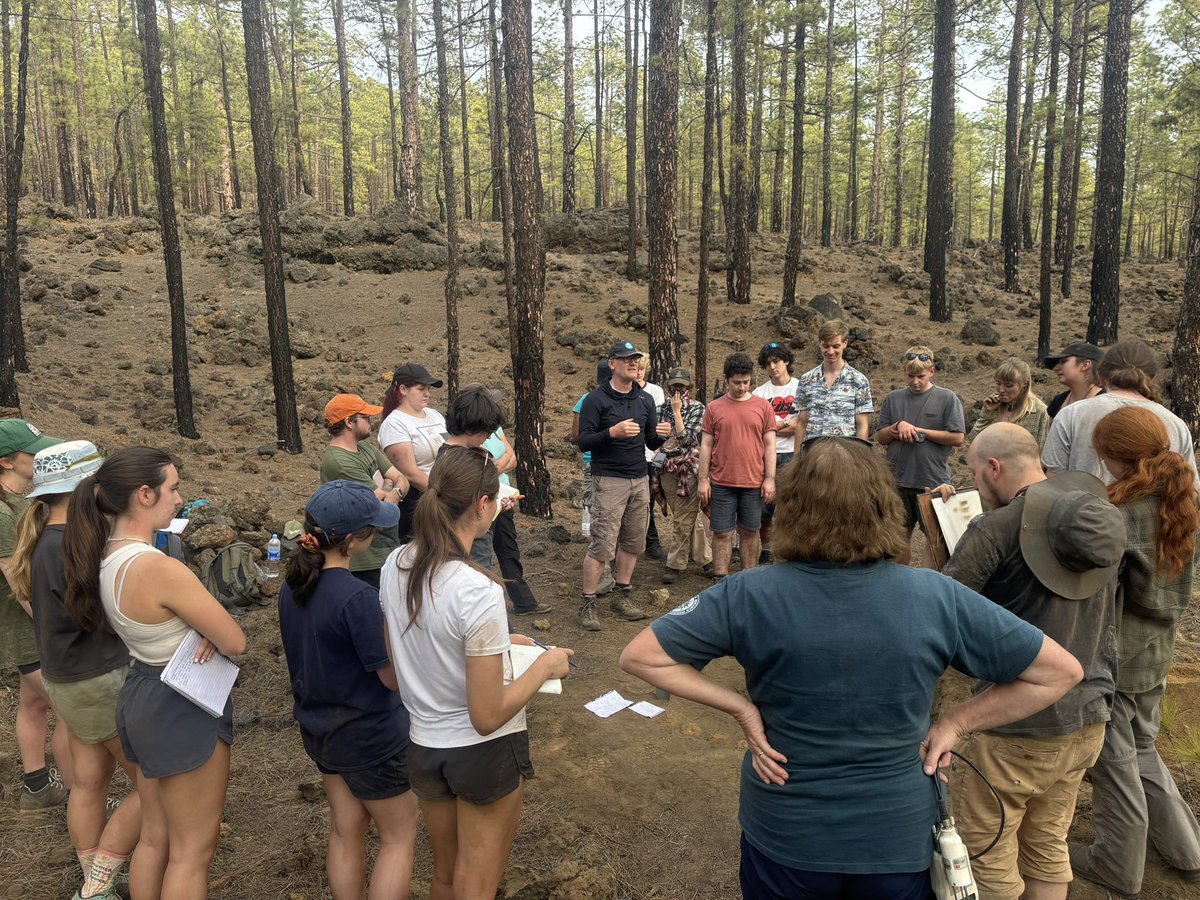 Graham Bird tweet media