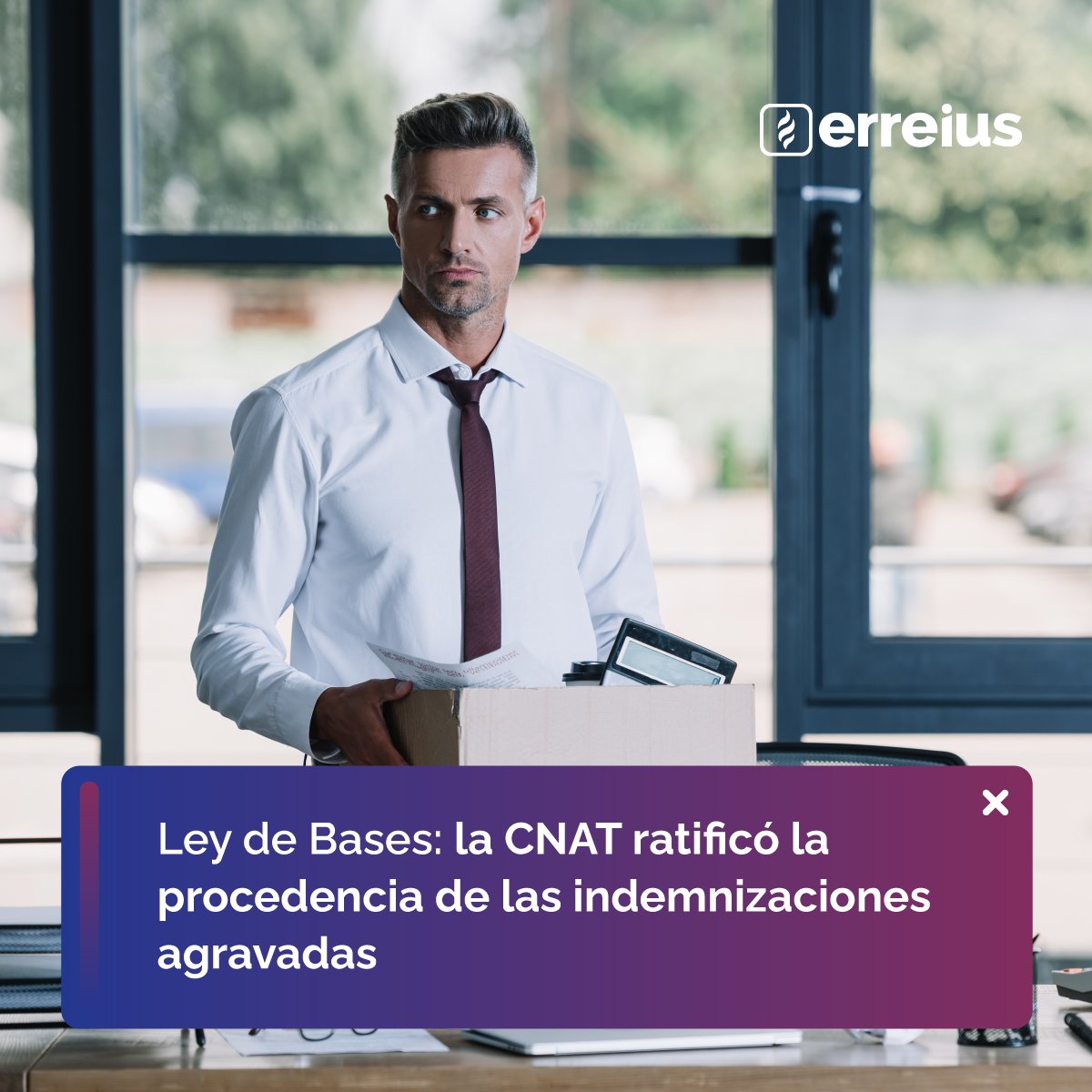 erreius's tweet photo. La Sala IX de la Cámara Nacional de Apelaciones del Trabajo ratificó la procedencia de las indemnizaciones agravadas por empleo mal registrado, las que en la actualidad se encuentran derogadas por la llamada ”Ley de Bases".

Más info 👇
https://t.co/nX5FY3M2JT https://t.co/cj5Q2AKTer