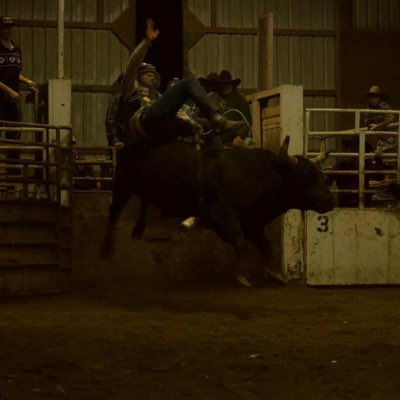 Bailey new tweet media