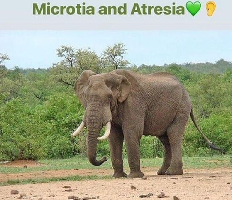 Melissa Tumblin tweet media