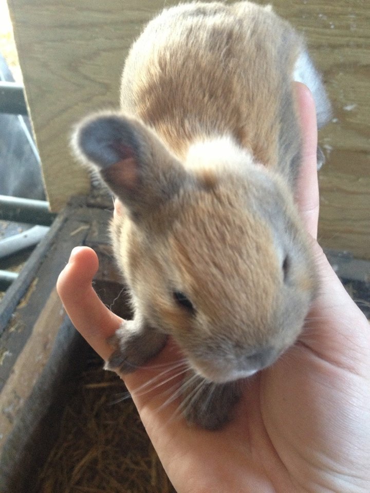 Melissa Tumblin tweet media