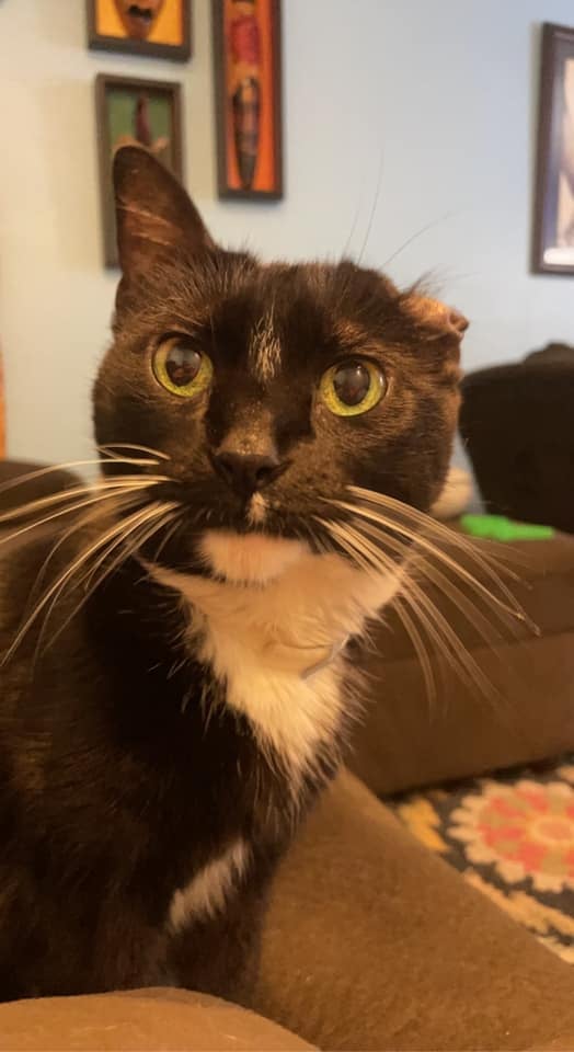 Melissa Tumblin tweet media