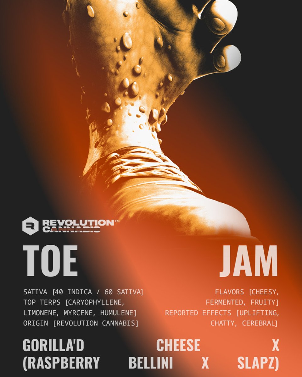 KarmaClubChi's tweet photo. 🔮 NEW DROP: @revcanna Toe Jam. 

Now available.

Karma Club is the ONLY place in Chicago to find this unique cultivar. 

🏃‍♂️💨 get it before its gone! https://t.co/e1LTPfXNlS