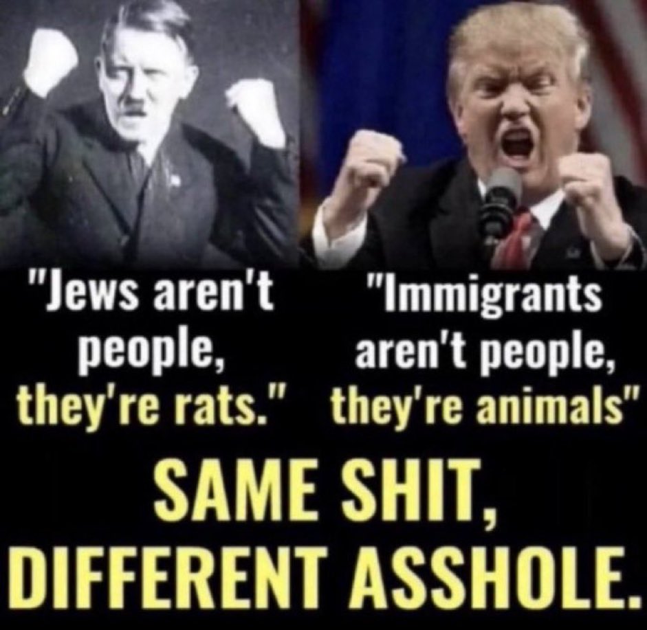 Fernand46357857's tweet photo. I STILL CAN’T BELIEVE WE ELECTED THIS EVIL NEO- NAZI CON MAN AND CONVICTED RAPIST TO RUN OUR GREAT NATION https://t.co/jOpqdT2nFb