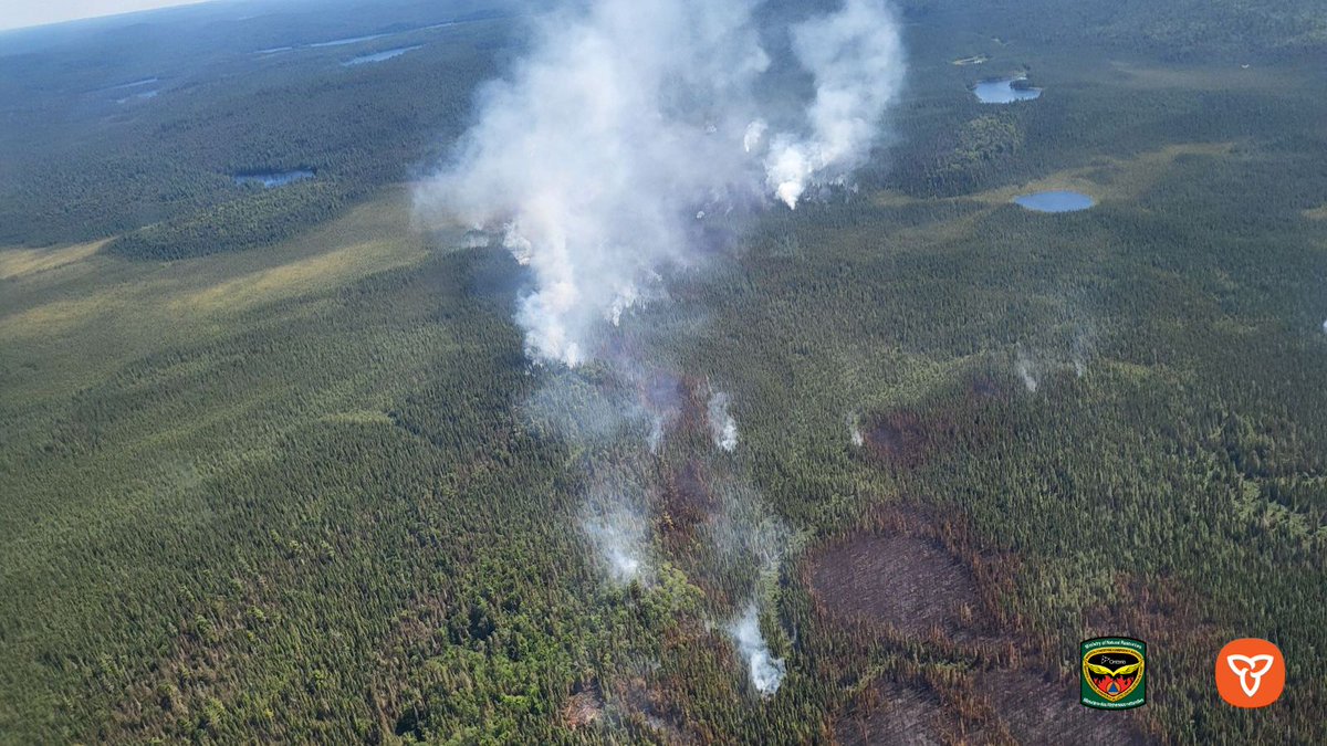 Ontario Forest Fires tweet media