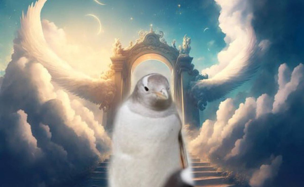 brabrab12 tweet media