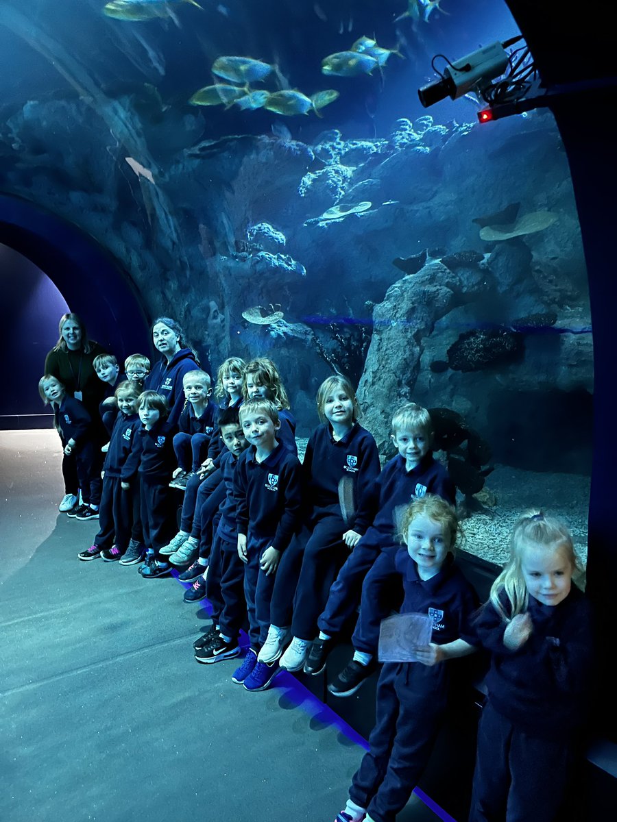 Outdoor Ed tweet media