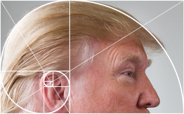 Donaldpumpeth's tweet photo. it was destined to be https://t.co/RzaY2J0d9G