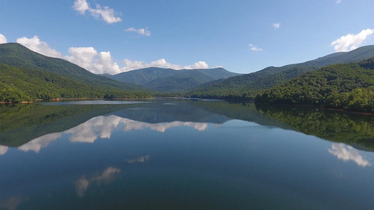 Water The Planet tweet media