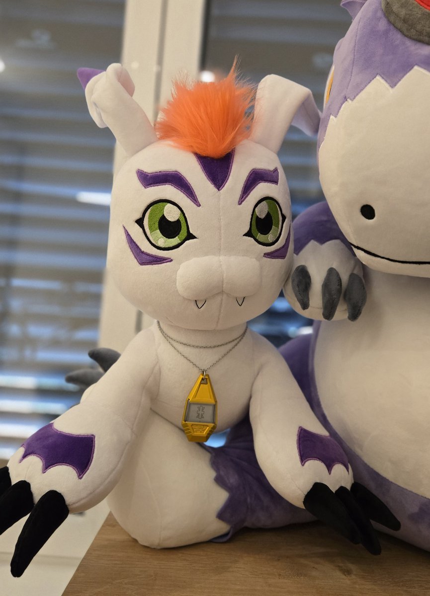 Gomamon arrived to his new home!  

We're sure he will be very loved 🥺