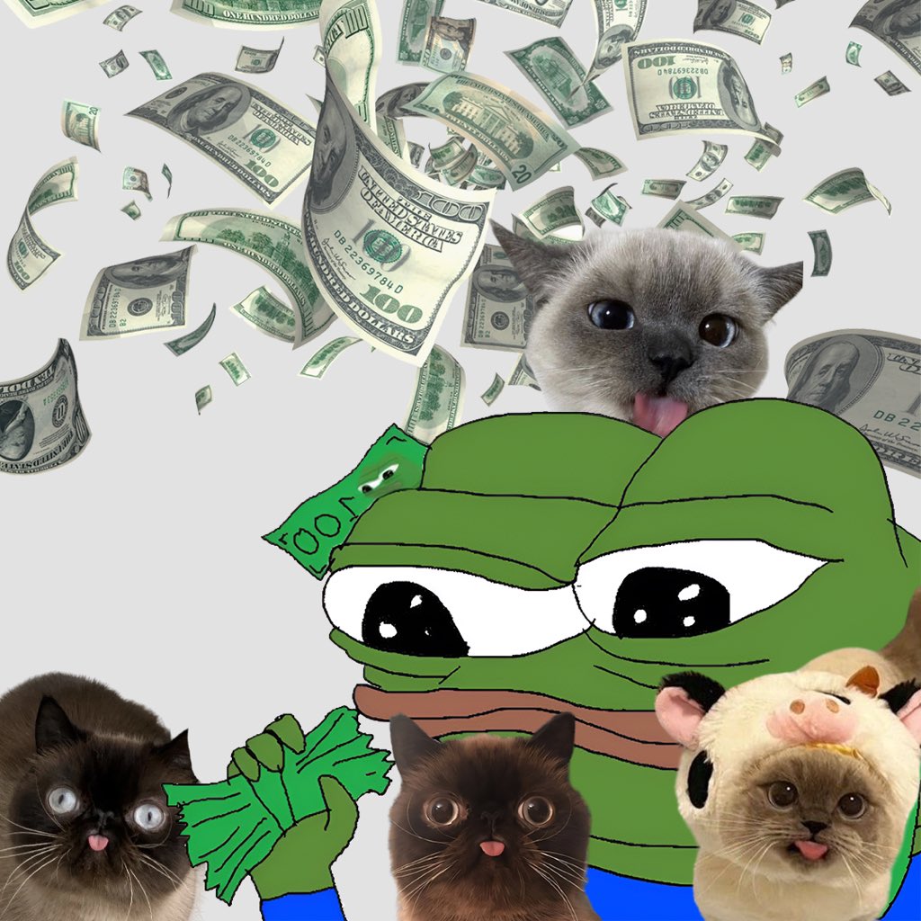 BlepCatSolana's tweet photo. trump has brought upon us a golden age for bleppers 

let’s win :p https://t.co/9sP8g5W1oQ