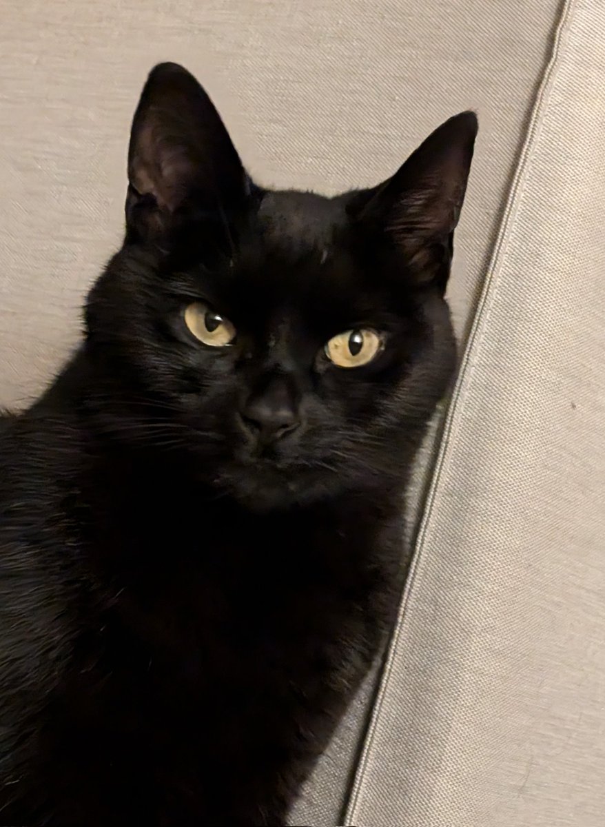 i_smilla's tweet image. OkaY wots haPnin?? AR wee aL LeaVin TwiddOr Orr wOt,??