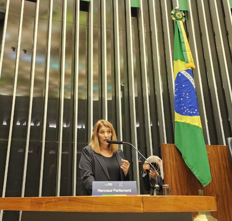 PARLASUR's tweet photo. @FabyGMartin @SenadoFederal @rodrigopacheco @camaradeputados @ArthurLira_ @tvcamara @tvsenado @folha @globo @AgenciaBrasilia @TVBrasil @CNNBrasil @bbcbrasil @OficialJBr #P20Brasil🇧🇷Presidenta do #PARLASUL @FabyGMartin: "Devemos repensar como alcançar nossos objetivos, redefinir causas e ações. Deixo a reflexão para que seus parlamentos pensem em como podemos realmente ajudar aqueles que mais precisam de nós" #P20Summit #G20 #ParlamentosG20 https://t.co/1DNoXaMrpp