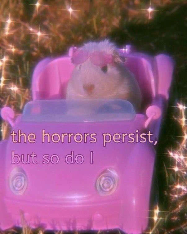 Kalandras_'s tweet photo. Me after damaging our car 2x within 3 days https://t.co/83zqly2e3y