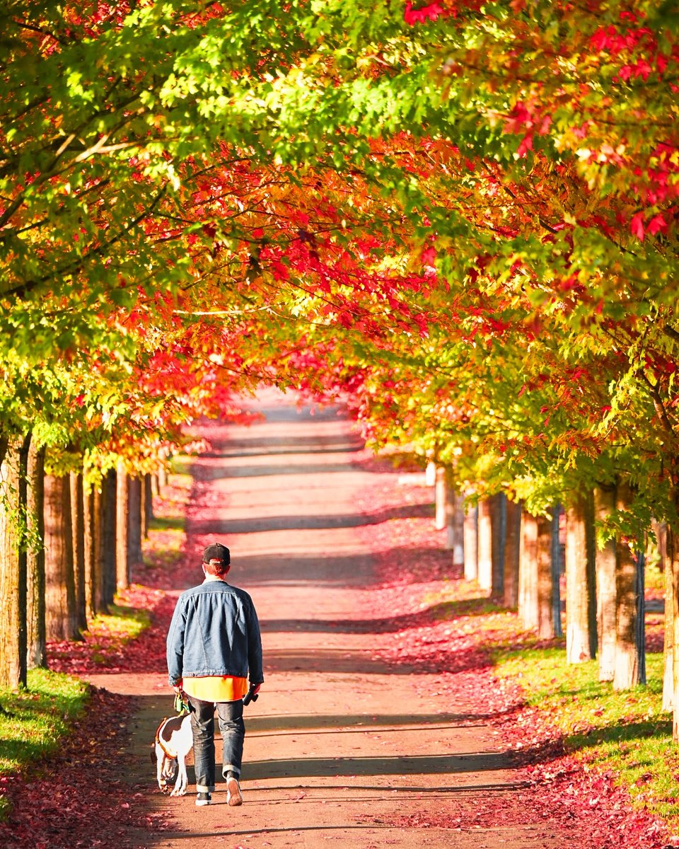Paseos de otoño bajo un techo de colores 🍂🌳

📷 hipolkevin⁣⁣⁣⁣⁣⁣⁣⁣⁣ (Instagram)
Etiqueta #VeryVancouver para tener la oportunidad de ser destacado en nuestras redes.