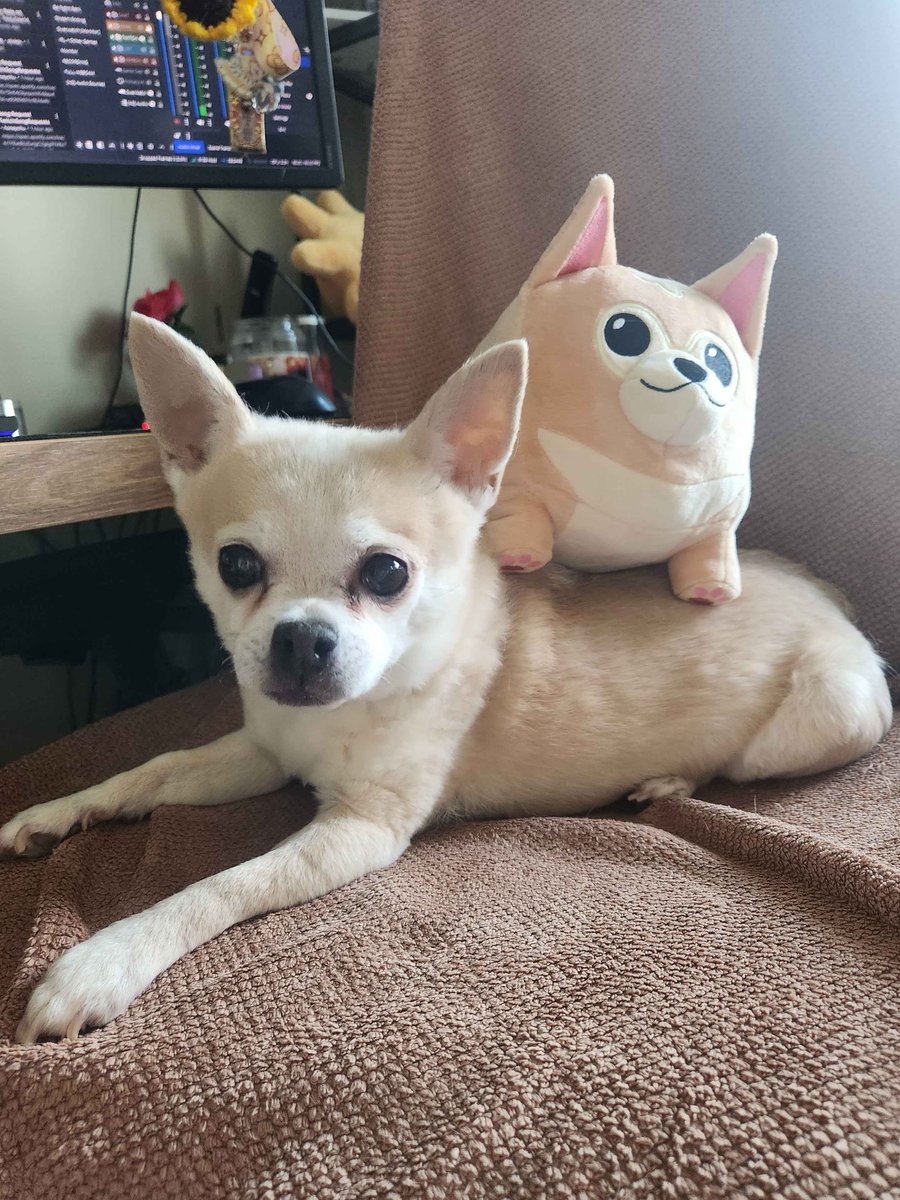 Super stoked to announce our first ever plushie, Plocky (AKA Plush Rocky), is NOW AVAILABLE!! Take home your very own soft liddle mans to cuddle 🐶💛

🔗 makeship.com/products/plock…