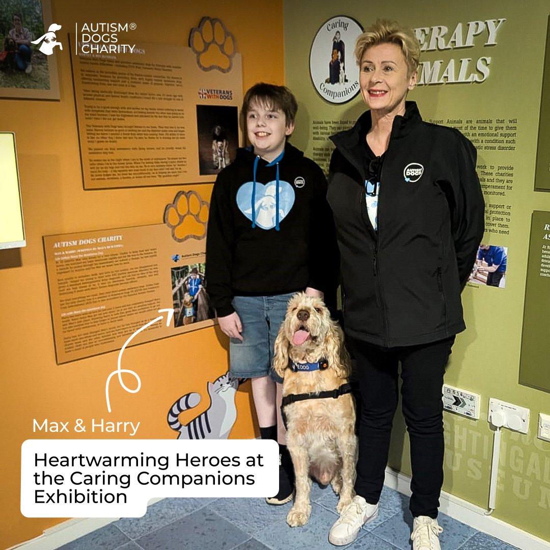 🐾✨ Exciting news! Autism Dogs Charity is featured at the Caring Companions exhibition at the Florence Nightingale Museum, highlighted through the inspiring story of Max &amp; his assistance dog, Harry. 🐶❤️ Experience the life-changing impact of therapy animals.