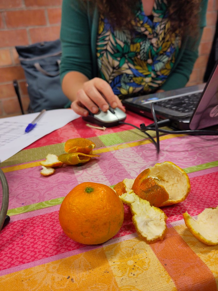 Les permanències de tardor-hivern estan plenes de bledes, xirivies i naps 🥬 (què hi farem 🥴).

Per sort, avui a les cistelles de Pagerols hem tingut una visita 🐌 i moltes, moltes mandarines 🍊😋.

També hem repartit la comanda de <a href="/llavora_com/">llavora</a> 🐖