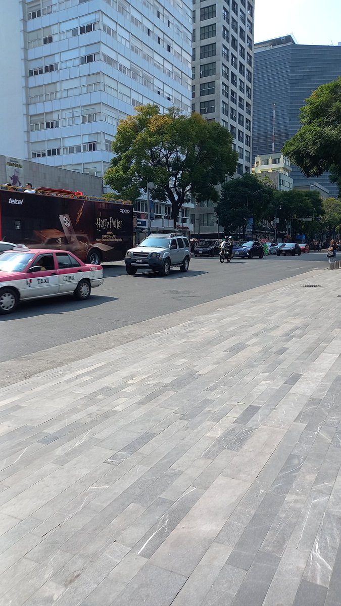 sofi stto tweet media