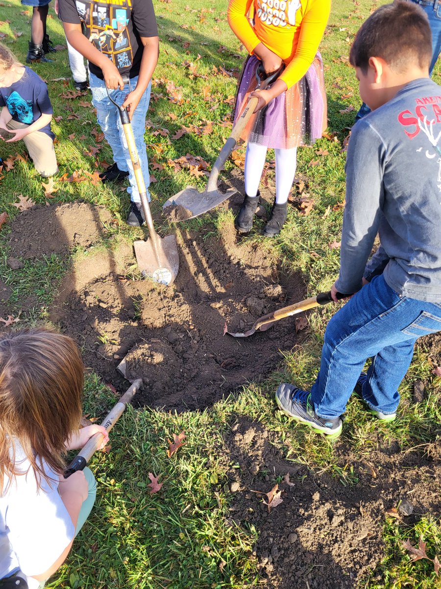 Lots of tree fun with apple tree plantings at Zoller and maple id at Woodlawn in preparation for our maple sugaring program! #FarmtoSchool